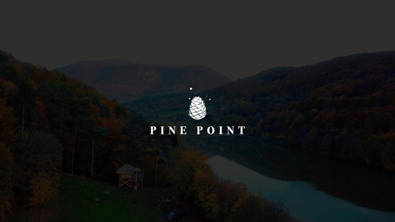 ホテル Pine Point トレンチアンスケ・テプリツェ エクステリア 写真